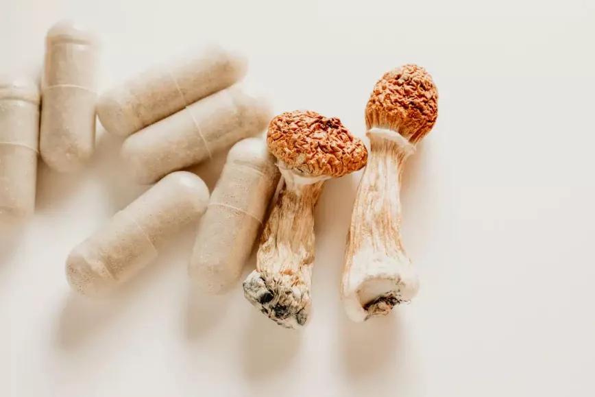 Legisladores de EE UU quieren obligar a la DEA a permitir el uso de psilocibina medicinal