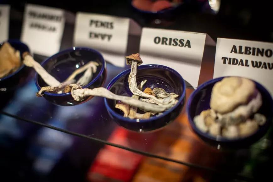 La venta de hongos alucinógenos prolifera en EE UU y Canadá 