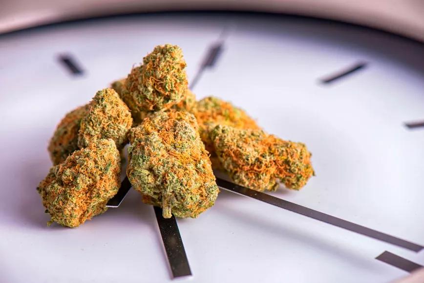 La regulación del cannabis en Colombia peligra por el retraso de su debate