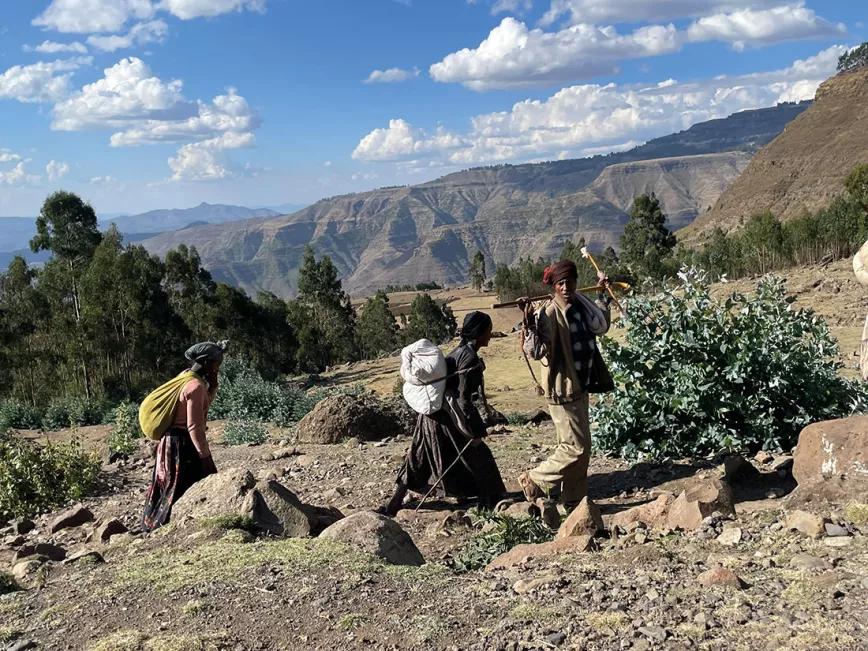 Un porro en Etiopía, la tierra prometida