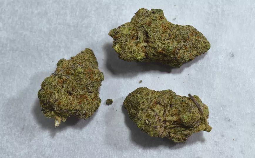 No debemos consumir cannabis con PGR, pues se desconocen los posibles riesgos a largo plazo que puede ocasionar.
