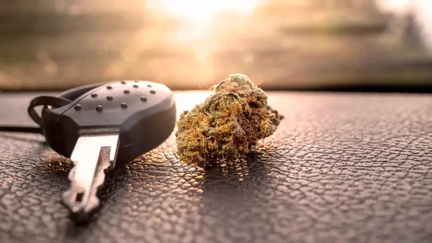 El ministro de Transporte alemán ajustará los niveles de THC prohibidos en carretera