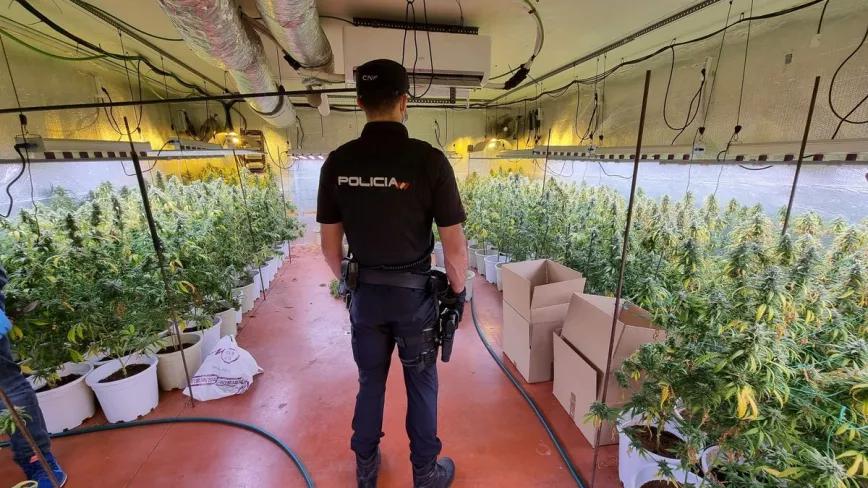Detenido un Policía Nacional acusado de narcotráfico en Sevilla 