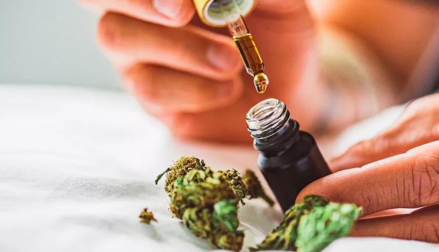 El Gobierno de Italia clasifica los aceites de CBD como narcóticos