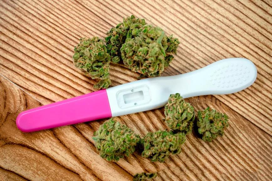 El cannabis medicinal es efectivo, pero también peligroso en adolescentes, jóvenes y embarazadas