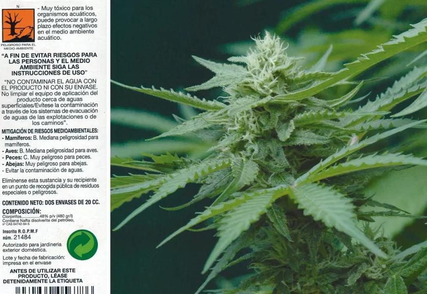 Acabemos con los bichos: pesticidas y control de plagas