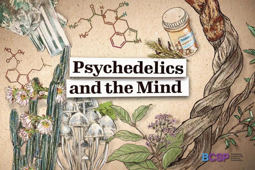 La Universidad de Berkeley lanza un curso gratuito sobre psicodélicos
