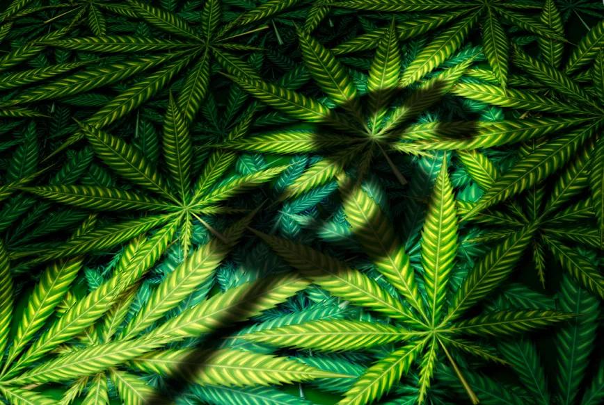 Los bancos de EE UU que prestan servicio a la industria del cannabis baten récords 