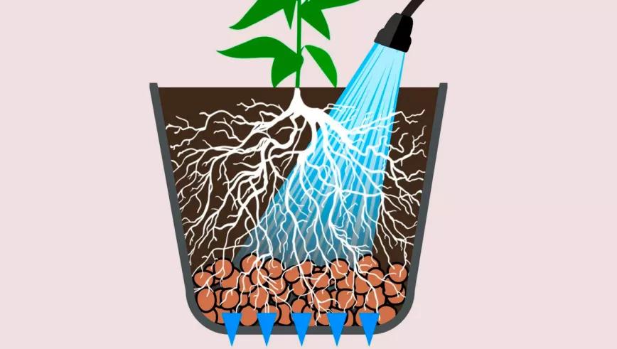 La tierra no absorbe el agua
