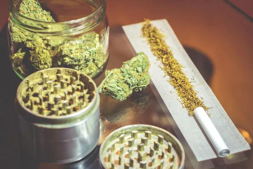La federación de clubs de cannabis catalana denuncia el intrusismo y malas prácticas 