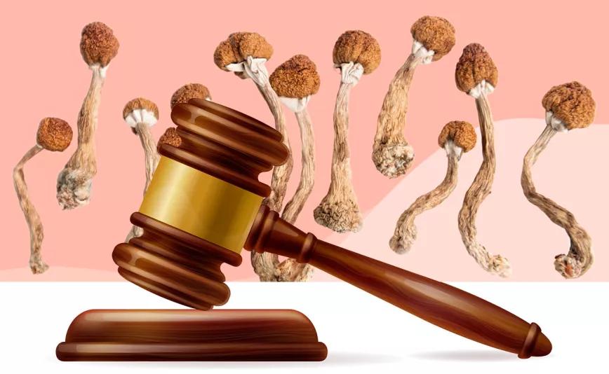 Un tribunal de EE UU ordena a la DEA que explique por qué no permite el uso de psilocibina en pacientes