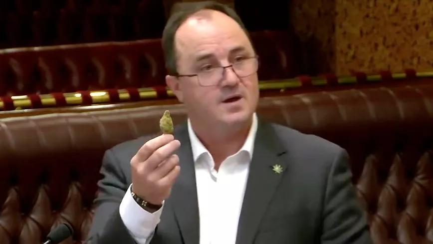 La legalización del cannabis llega al Parlamento de Nueva Gales del Sur 