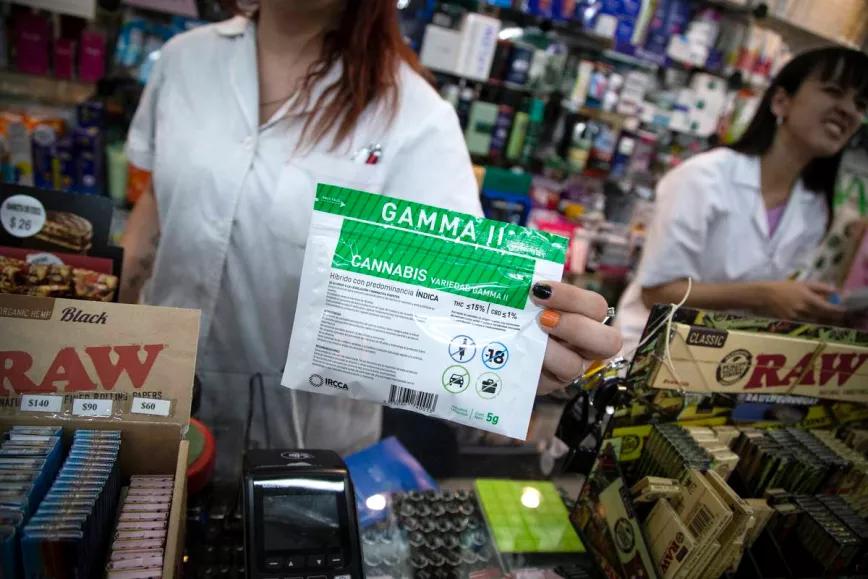 Uruguay: más de la mitad de los usuarios de cannabis acuden al mercado legal