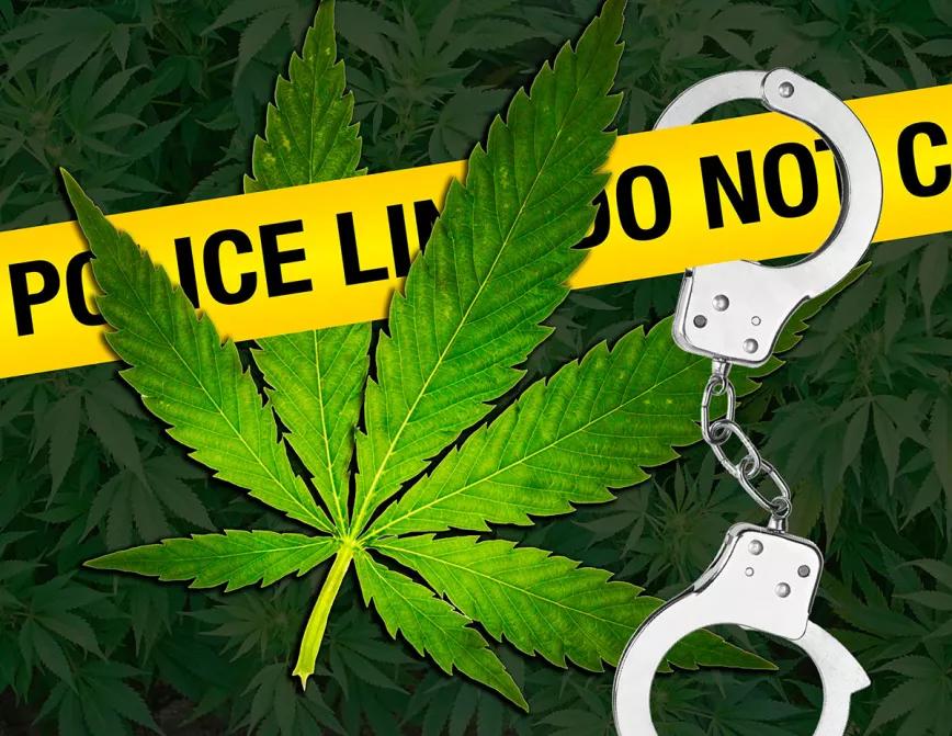 El Parlamento de Irlanda votaría esta semana la despenalización del cannabis