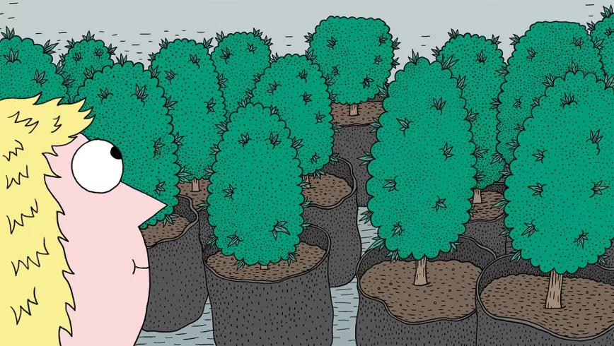 Nueve trucos para acelerar (o frenar) el crecimiento de las plantas en interior 