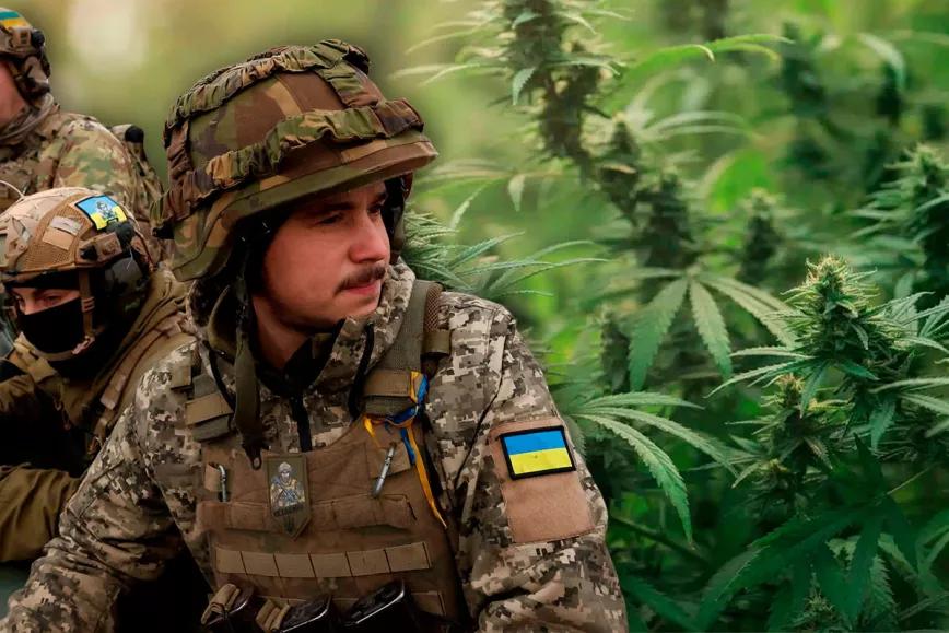 Zelensky promulgó la ley de cannabis medicinal para tratar a los heridos de la guerra