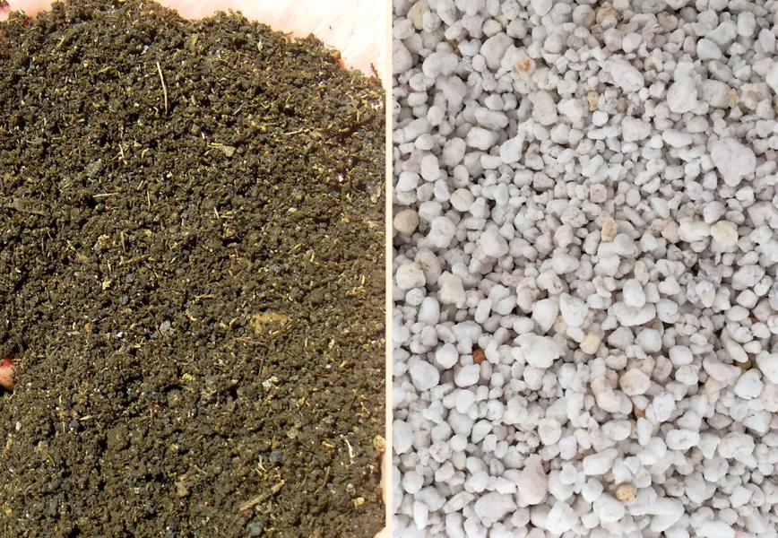 La tierra perfecta para nuestras plantas: cómo crear una mezcla casera de sustrato orgánico