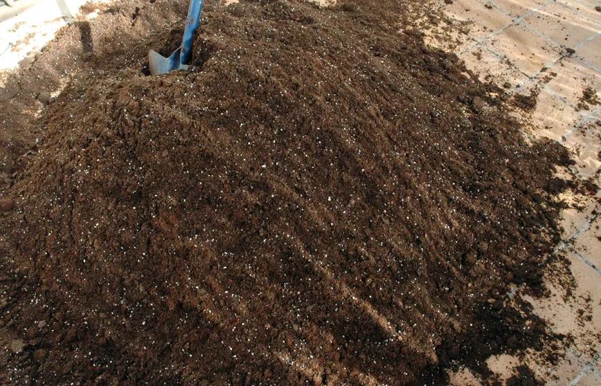 La tierra perfecta para nuestras plantas: cómo crear una mezcla casera de sustrato orgánico