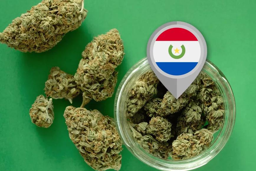 Paraguay activa la regulación integral del cannabis