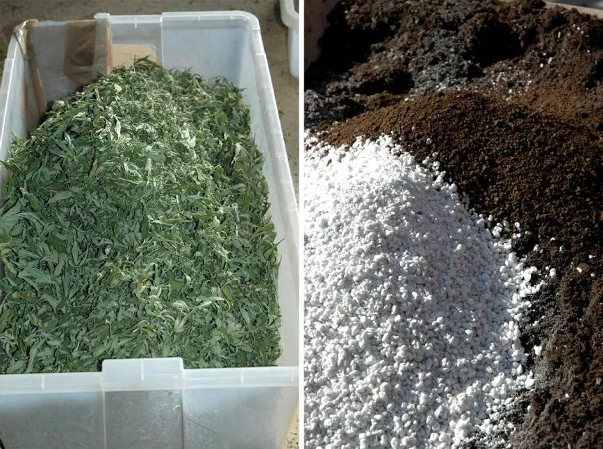 La tierra perfecta para nuestras plantas: cómo crear una mezcla casera de sustrato orgánico