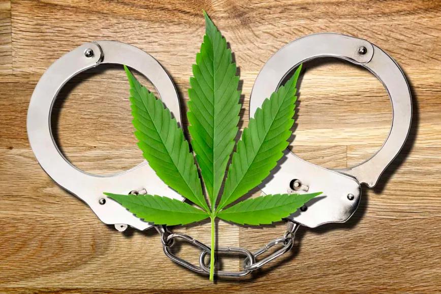 Minnesota liberará a 66 mil personas condenadas por tenencia de cannabis