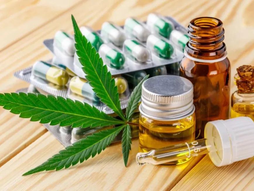 Usuarios terapéuticos de cannabis de México esperan hace cinco años que el Estado les proporcione los medicamentos