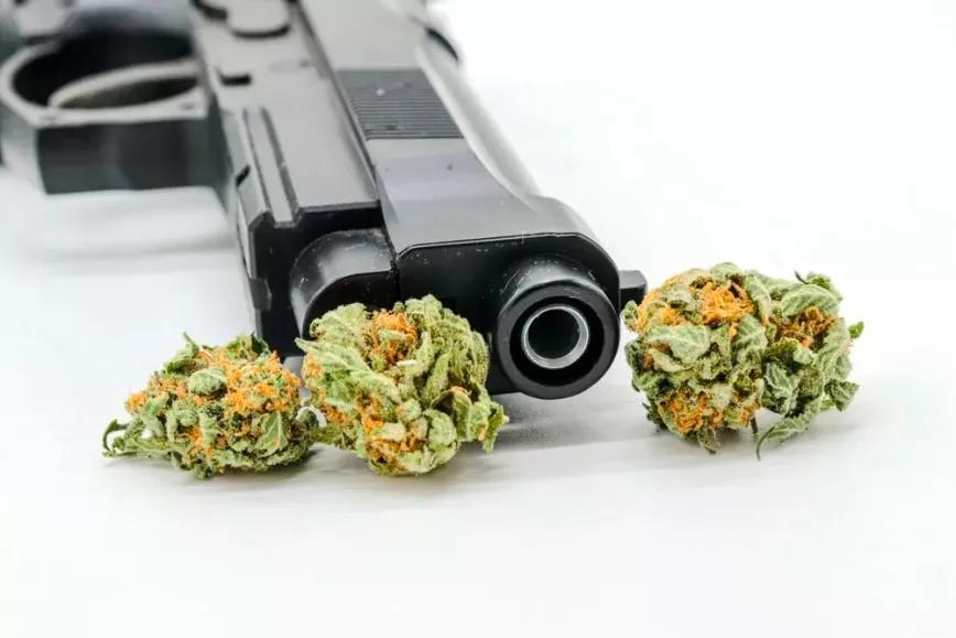 La regulación medicinal de cannabis en Hawái reduce la circulación de armas de fuego