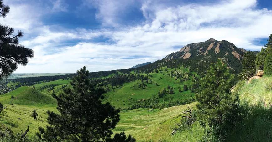 Sembrando experiencias: un viaje por las culturas del cannabis en Colorado, California y España