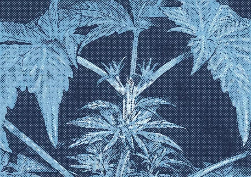 La poda de plantas madre