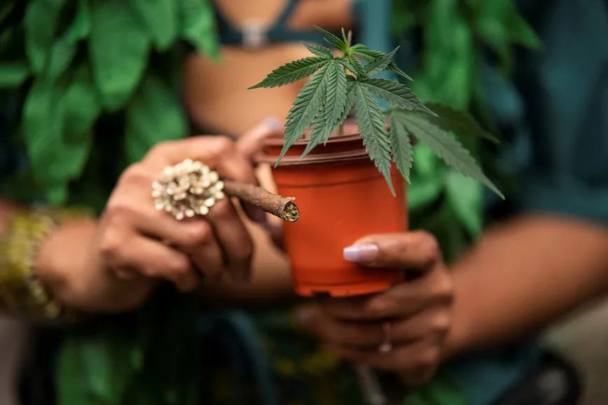 La Oficina de Gestión del Cannabis de Nueva York destinará 5 millones de euros a programas sociales