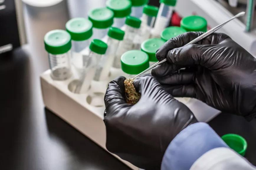 California revoca la licencia de un nuevo laboratorio por el escándalo de los pesticidas