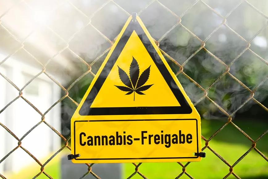 En la recta final de las elecciones alemanas, cada vez más sectores conservadores reclaman el fin de la legalización del cannabis