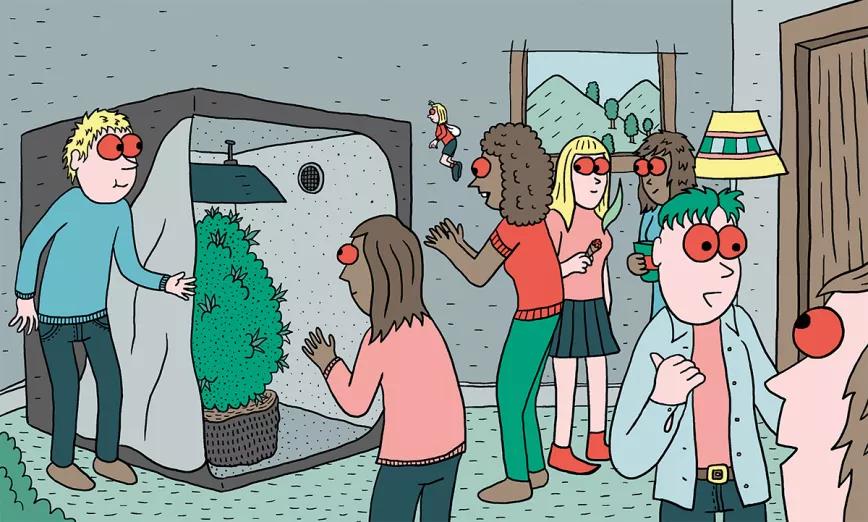 Diez pasos para montar el primer cultivo interior 