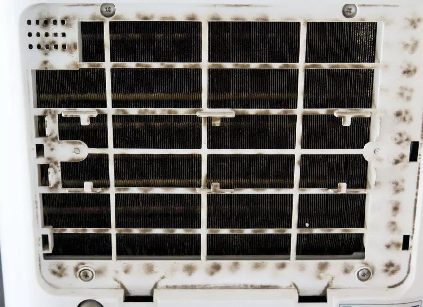 La acumulación de polvo en el filtro del deshumidificador reduce su eficiencia. 