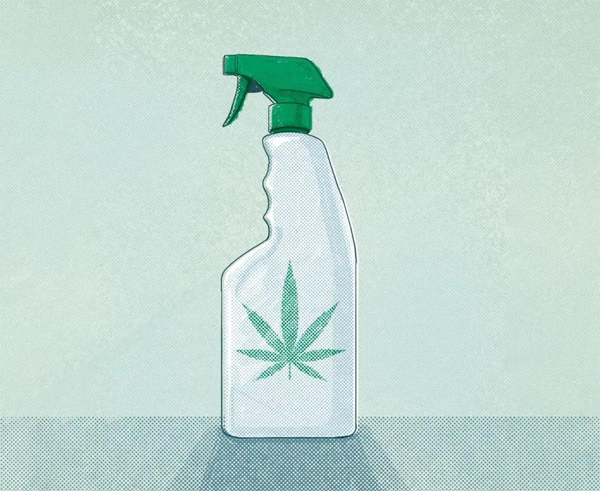 Los peligros de los insecticidas