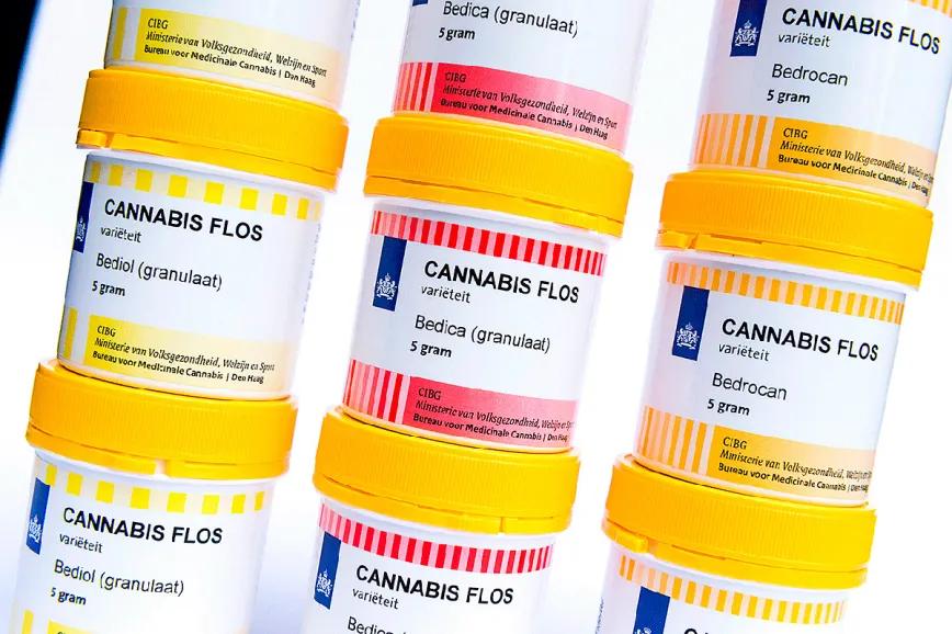 Dinamarca consolida al cannabis medicinal en su sistema sanitario