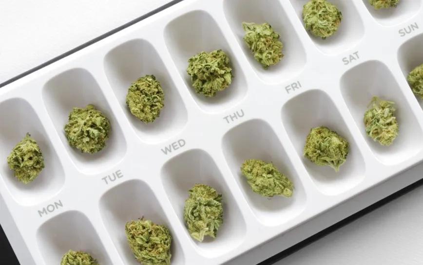 Personalizando el uso cotidiano de cannabis