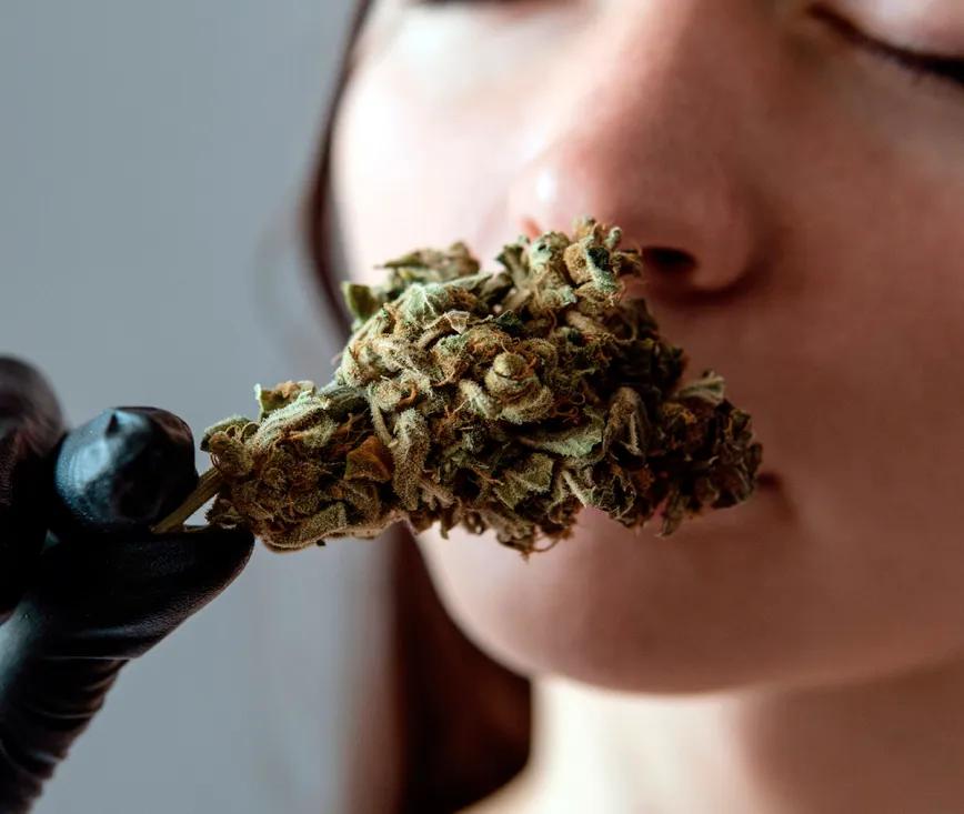 No solo los terpenos le dan su particular aroma al cannabis