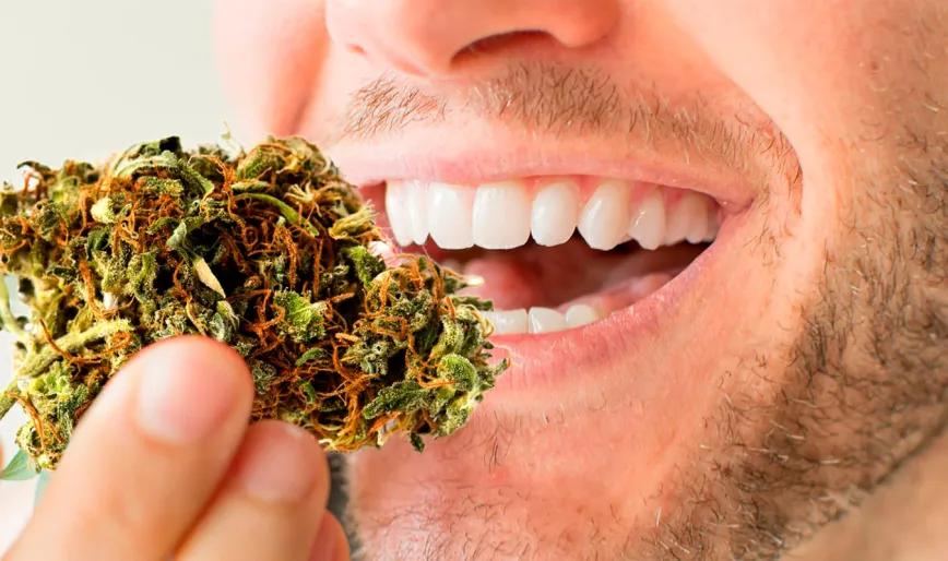 Siete formas de usar cannabis sin recurrir a la combustión