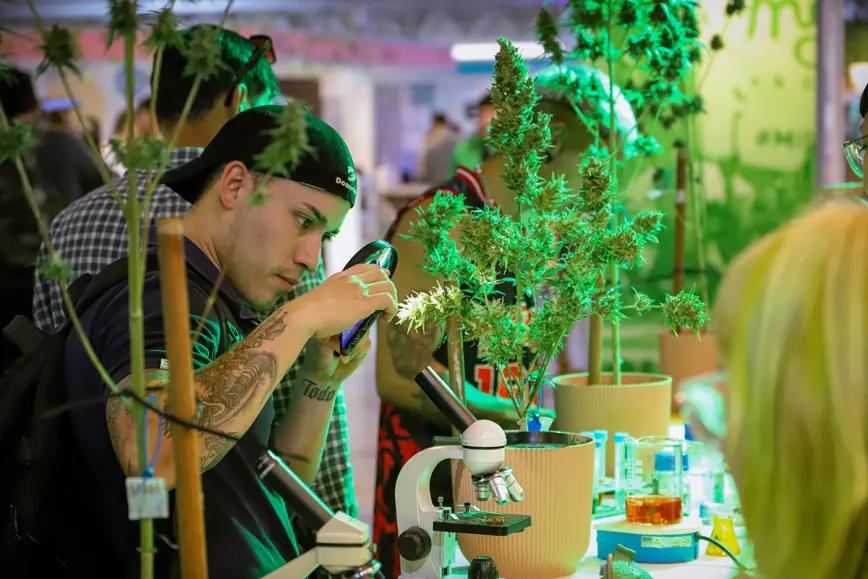 Expo Cannabis Argentina 2025