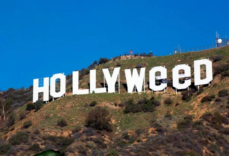 Cinco voces de Hollywood que apoyan la regulación del cannabis