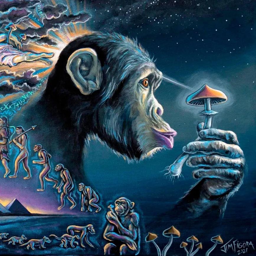 Neurociencia y epigenética reabren el debate sobre la teoría del mono drogado