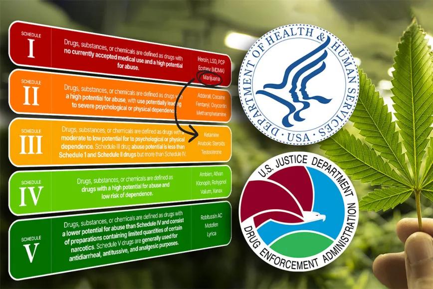 Reclasificación federal agita el mercado cannábico estadounidense