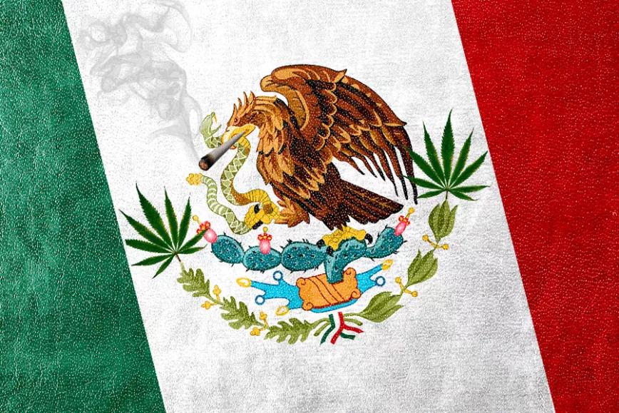 Imagen sin descripción