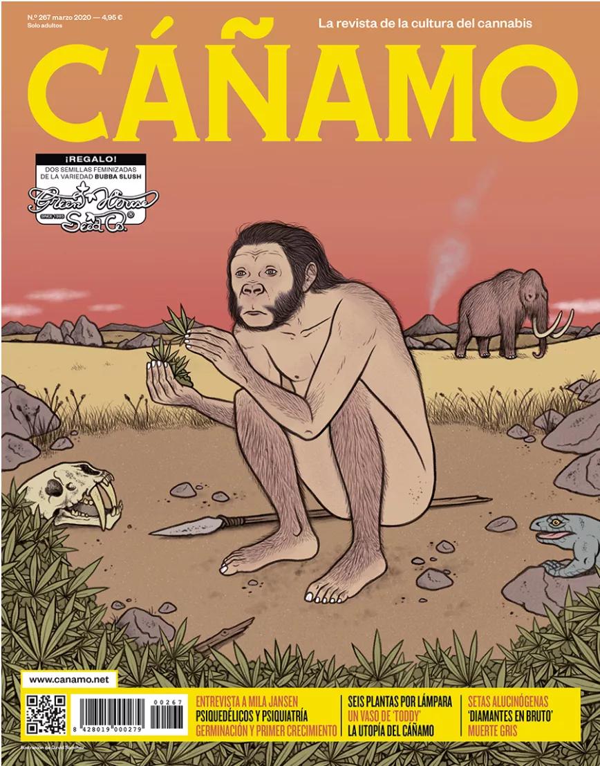 Imagen sin descripción