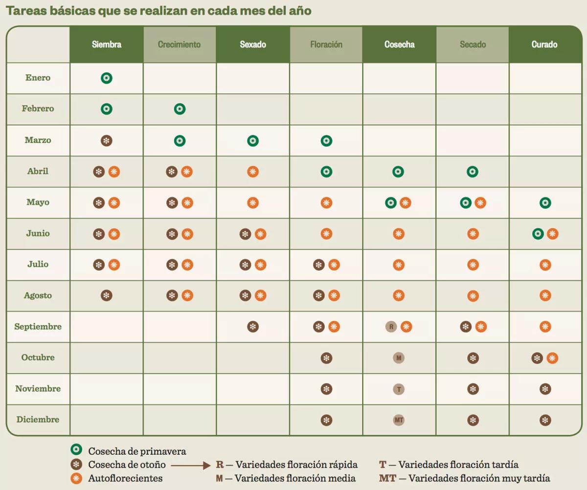Tabla Cultivo Enero