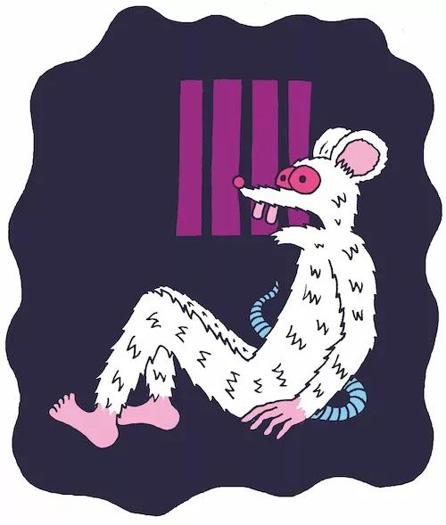 Rat