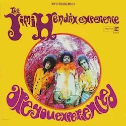 Experience
