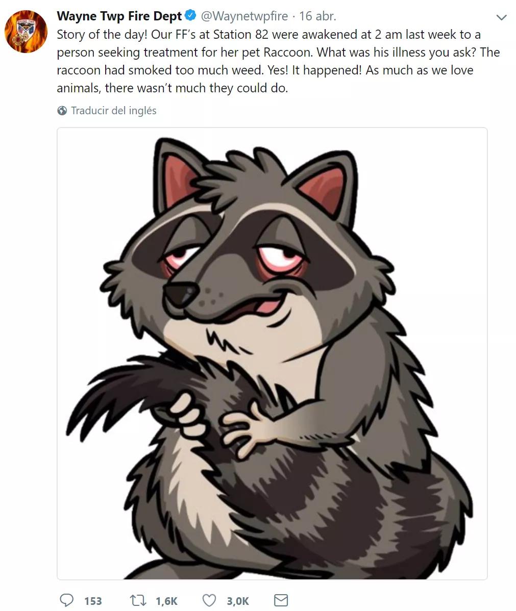 Twitter mapache