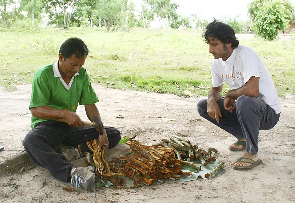 Ayahuasca entre dos mundos
